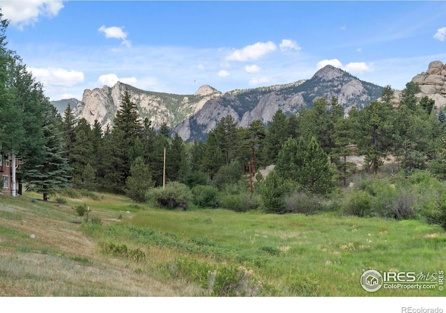 476 Macgregor Ave, Estes Park, CO 80517 - photo 31