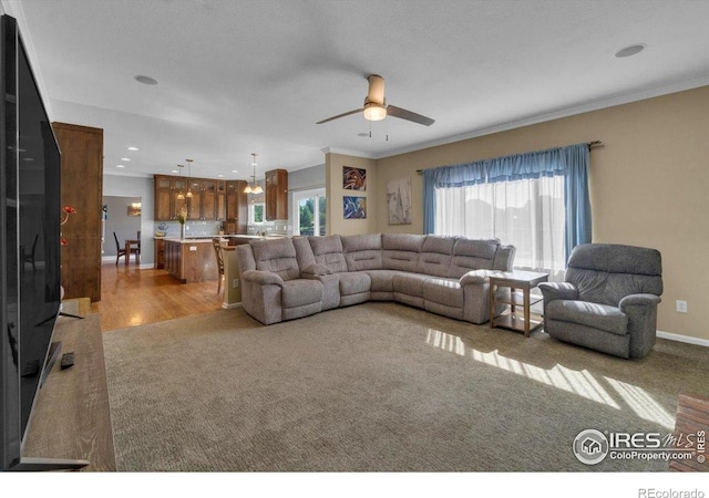 5966 Scenic Ave, Firestone, CO 80504 - photo 8