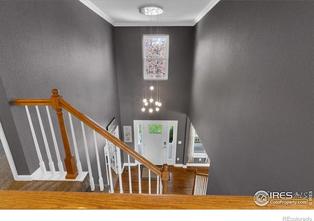5966 Scenic Ave, Firestone, CO 80504 - photo 19