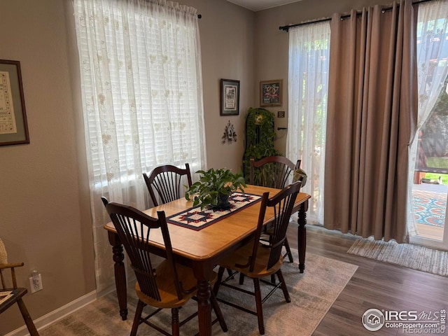 5536 Bexley Dr, Windsor, CO 80550 - photo 10