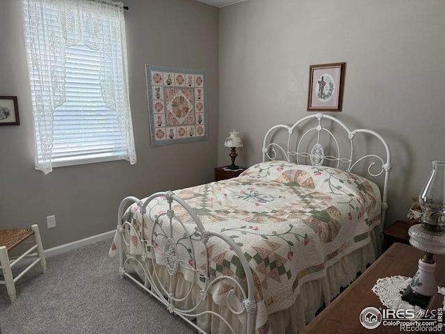 5536 Bexley Dr, Windsor, CO 80550 - photo 28