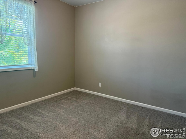5536 Bexley Dr, Windsor, CO 80550 - photo 29