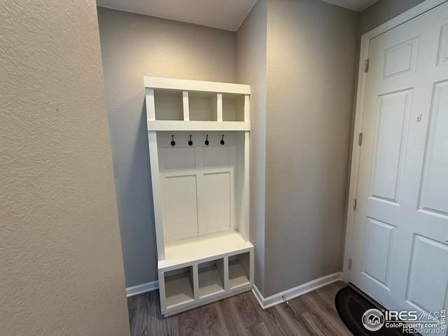 5536 Bexley Dr, Windsor, CO 80550 - photo 31