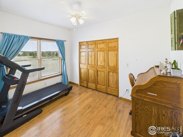 188 Walno Ave, Livermore, CO 80536 - photo 16