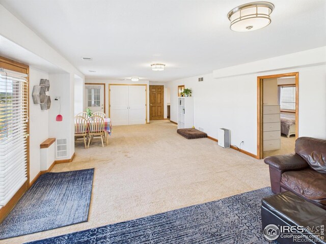 188 Walno Ave, Livermore, CO 80536 - photo 22