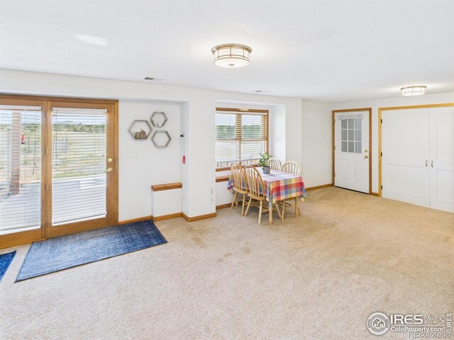 188 Walno Ave, Livermore, CO 80536 - photo 23