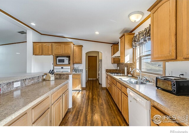 38 Carson Peak Ct, Livermore, CO 80536 - photo 7