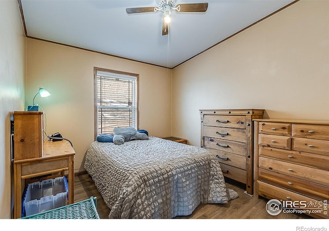 38 Carson Peak Ct, Livermore, CO 80536 - photo 18