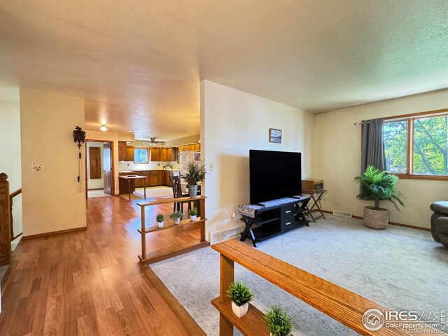 1605 43rd Ave, Greeley, CO 80634 - photo 9