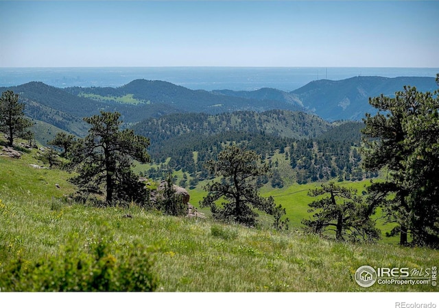 3884 Douglas Mountain Dr, Golden, CO 80403 - view of mountain background