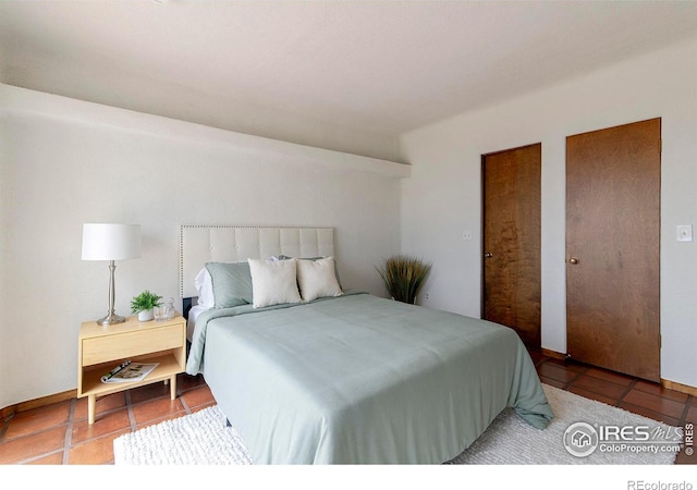 3884 Douglas Mountain Dr, Golden, CO 80403 - bedroom with tile patterned flooring and two closets