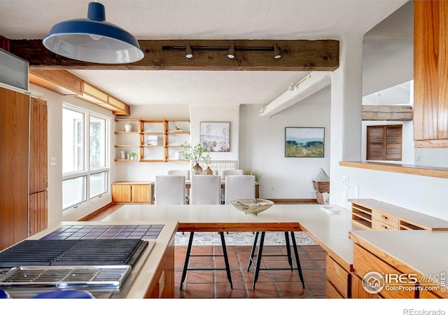 3884 Douglas Mountain Dr, Golden, CO 80403 - kitchen featuring light countertops and track lighting