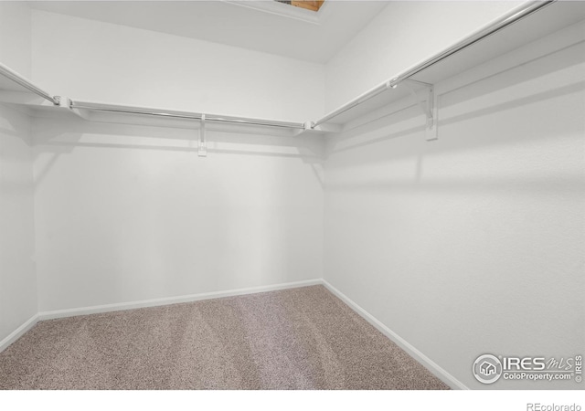 2729 73rd Avenue Ct, Greeley, CO 80634 - photo 25