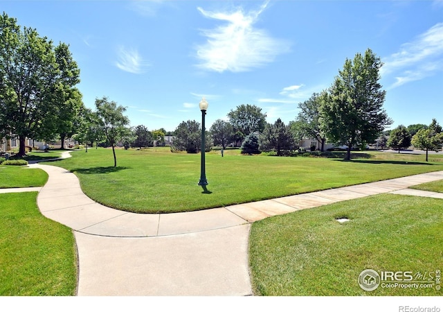 436 47th Ave Unit 20, Greeley, CO 80634 - photo 2
