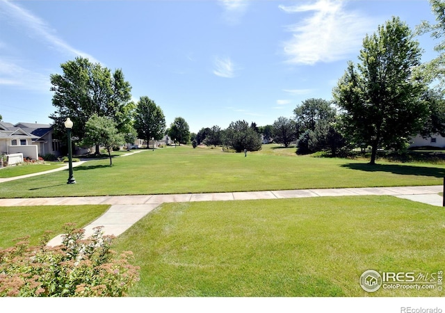 436 47th Ave Unit 20, Greeley, CO 80634 - photo 6