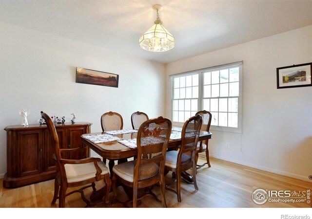 436 47th Ave Unit 20, Greeley, CO 80634 - photo 20