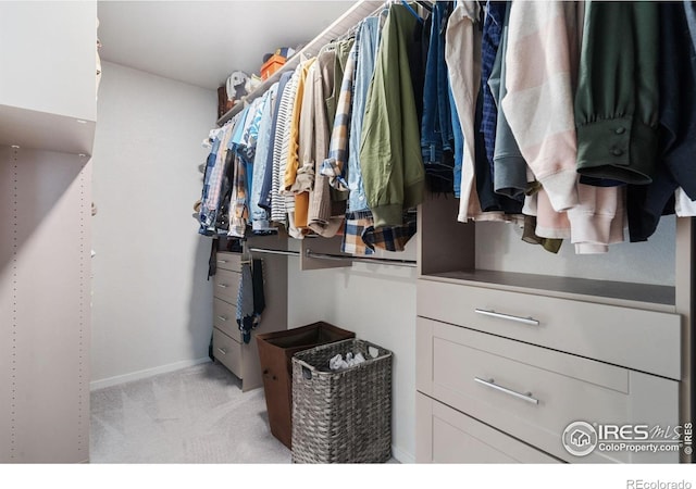 5199 Beckworth St, Timnath, CO 80547 - spacious closet featuring light carpet