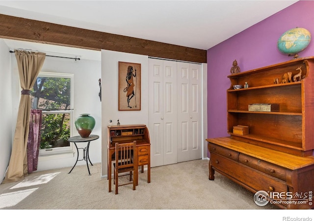 1620 Bradley Ct, Boulder, CO 80305 - view of carpeted office