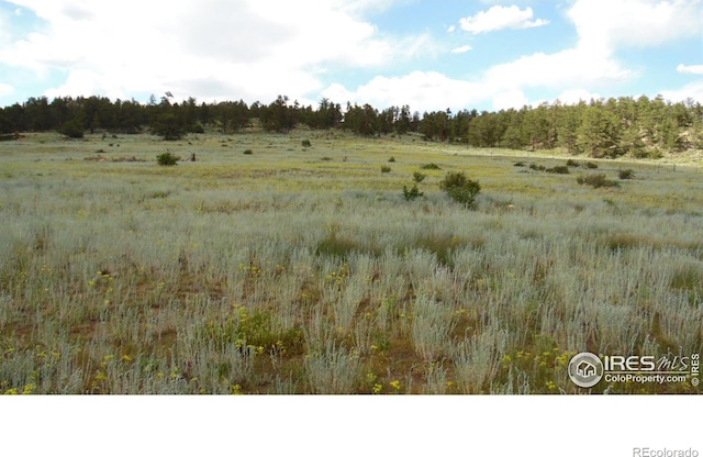 5676 W County Road 68c, Red Feather Lakes, CO 80545 - photo 2