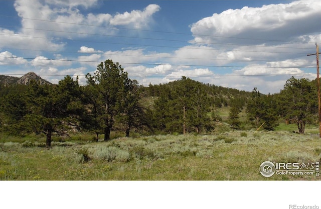 5676 W County Road 68c, Red Feather Lakes, CO 80545 - photo 3