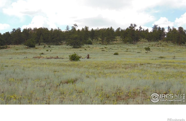 5676 W County Road 68c, Red Feather Lakes, CO 80545 - photo 4