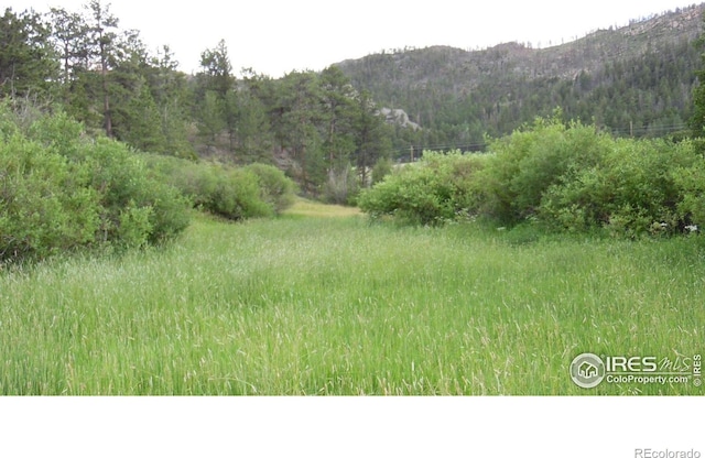 5676 W County Road 68c, Red Feather Lakes, CO 80545 - photo 6
