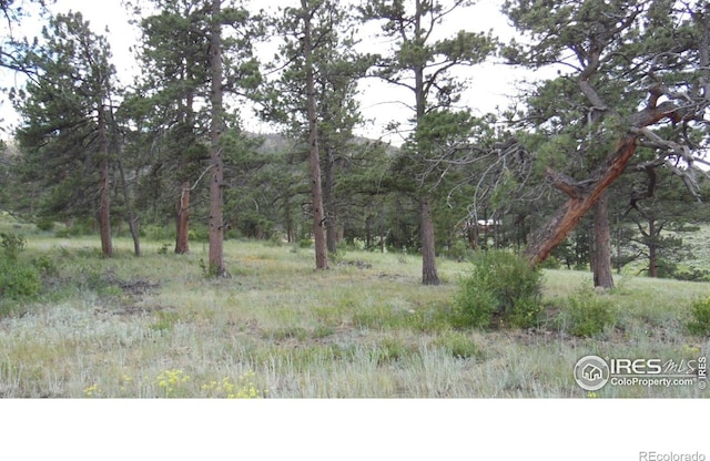 5676 W County Road 68c, Red Feather Lakes, CO 80545 - photo 7