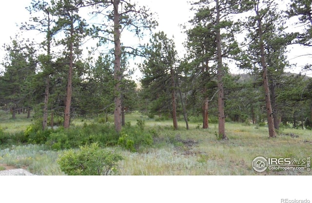 5676 W County Road 68c, Red Feather Lakes, CO 80545 - photo 8