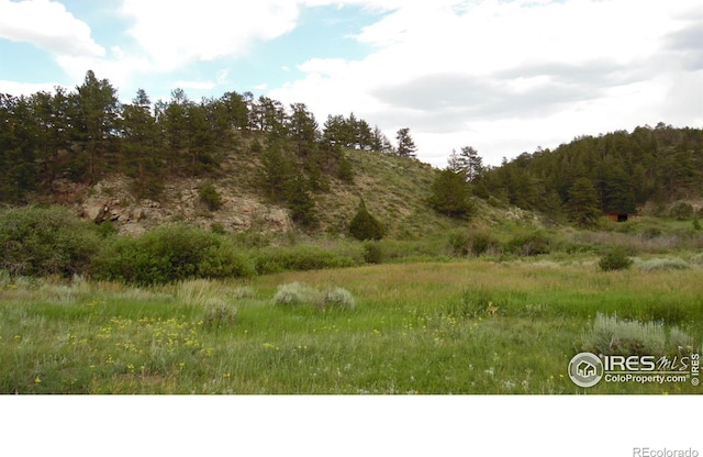 5676 W County Road 68c, Red Feather Lakes, CO 80545 - photo 9
