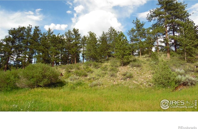5676 W County Road 68c, Red Feather Lakes, CO 80545 - photo 10