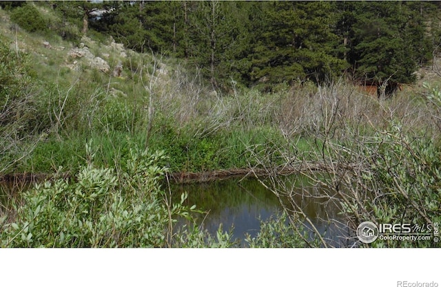 5676 W County Road 68c, Red Feather Lakes, CO 80545 - photo 11