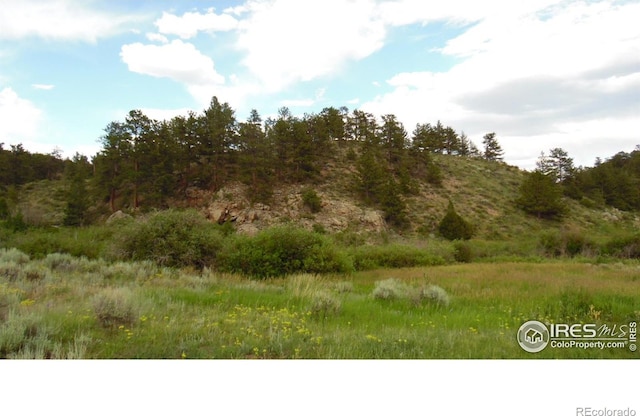 5676 W County Road 68c, Red Feather Lakes, CO 80545 - photo 12
