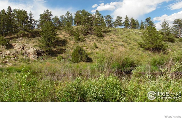 5676 W County Road 68c, Red Feather Lakes, CO 80545 - photo 13