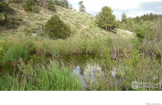 5676 W County Road 68c, Red Feather Lakes, CO 80545 - photo 14