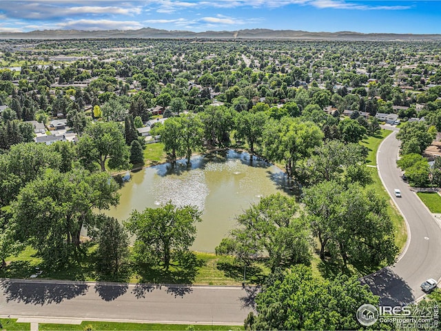 1722 26th Avenue Ct, Greeley, CO 80634 - photo 28