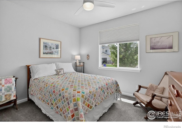 274 Saskatoon Dr, Windsor, CO 80550 - photo 20