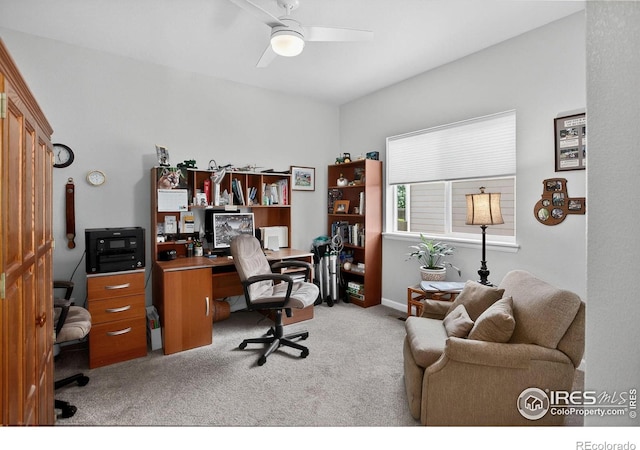 274 Saskatoon Dr, Windsor, CO 80550 - photo 23