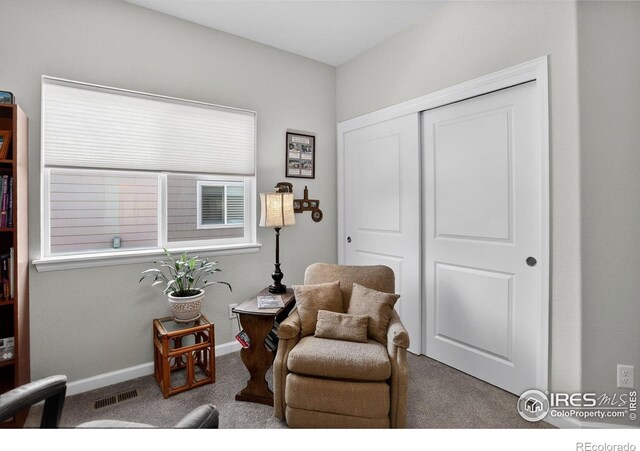 274 Saskatoon Dr, Windsor, CO 80550 - photo 24