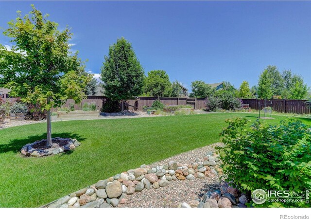 274 Saskatoon Dr, Windsor, CO 80550 - photo 32