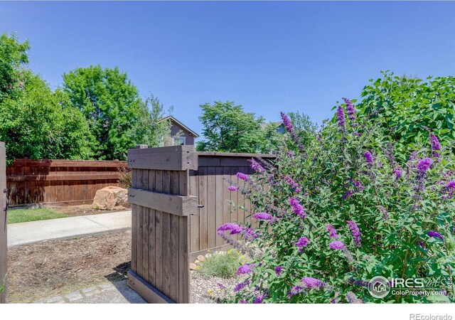 274 Saskatoon Dr, Windsor, CO 80550 - photo 35