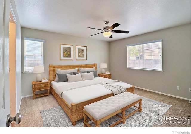 301 51st Ave, Greeley, CO 80634 - photo 13