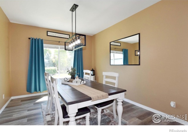 405 Ridgeview Ct, Johnstown, CO 80534 - dining room with wood finished floors, a chandelier, and plenty of natural light