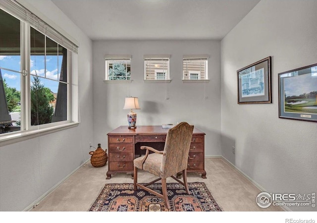 1968 Blue Yonder Way, Fort Collins, CO 80525 - photo 4