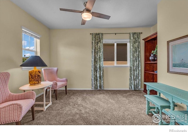 1968 Blue Yonder Way, Fort Collins, CO 80525 - photo 22