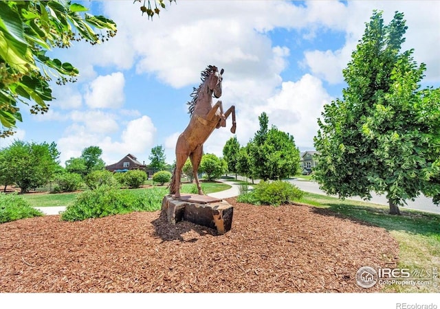 1968 Blue Yonder Way, Fort Collins, CO 80525 - photo 27