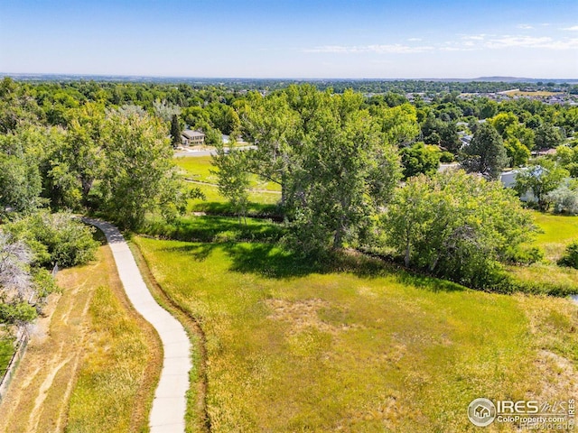 253 W Cedar Way, Louisville, CO 80027 - aerial view of a forest