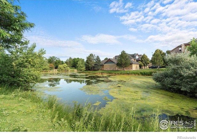 5220 Boardwalk Dr Unit 22, Fort Collins, CO 80525 - water view