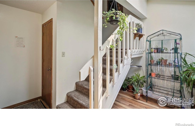 5809 W 18th St, Greeley, CO 80634 - photo 11