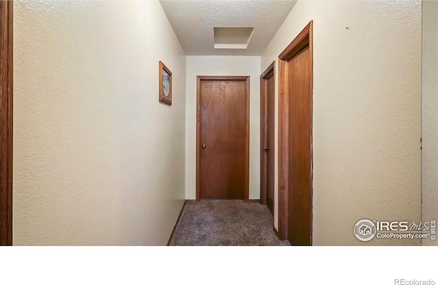 5809 W 18th St, Greeley, CO 80634 - photo 19