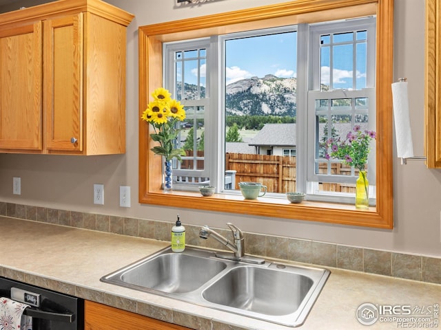 1695 Gray Hawk Ct, Estes Park, CO 80517 - kitchen featuring a sink and black dishwasher